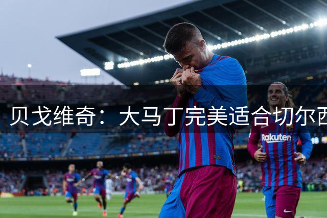 贝戈维奇：大马丁完美适合切尔西，蓝军本赛季野心很大